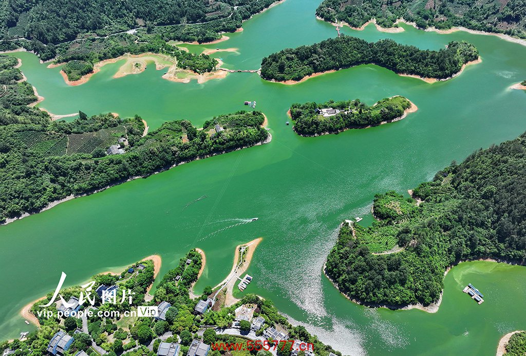 安徽黄山：绿水青山 生态画卷